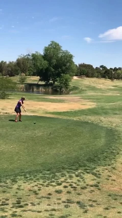 elbell's post preview (golflife)